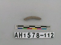 藏品(灰色泥質陶環殘件)的圖片